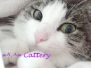 =^.^= Cattery