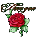 I love you rose