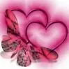 hearts and butterflies