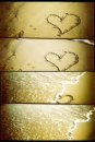hearts