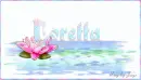 LillyPond - Loretta