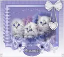 Cute Kittens Tag - Amanda