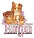 Three Puppies Sparkled - Kayla
