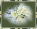 Dark Flower