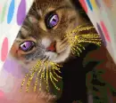 cute cat