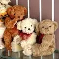 Three cute Teddies!