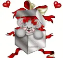 creddy girl