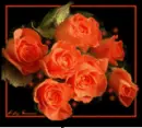 Flowers are a seed  that grows in a beautiful flower