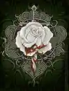 Someone out there is bleeding  from a broken heart