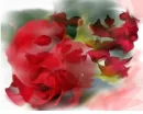 red Rose