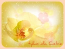 Yellow Words