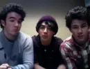 Live Chat