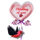 Thinking of you