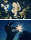holding the sun