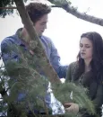 twilight