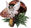 FAIRY