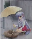 sakira banner