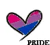 bi pride