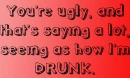 You're Ugly And I'm Drunk