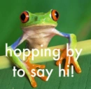 hello frog