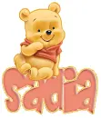 baby winnie pooh sadia