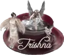 Faries Morning Coffee - Trishna