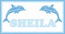 Sheila Dolphins