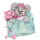 creddy
