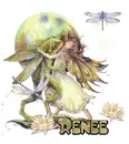 renee frog fairy