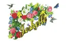 Joshelle flowers
