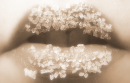 sexy lips