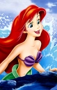 little mermaid