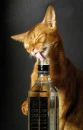 funny