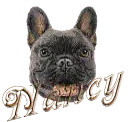 nancy