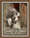 kitty hello
