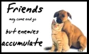 friends