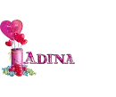 Adina