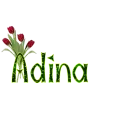 Adina