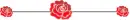 rose divider