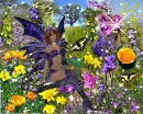 FAIRY 