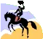 bucking horse!!!!!