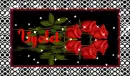 red roses