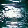 Going Under