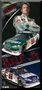 dale jr