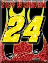 jeff gordon
