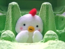 cute