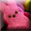 Pink Peep