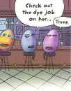 Funny Eggs