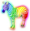 Glowing Rainbow Zebra
