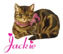 Jackie-kitty